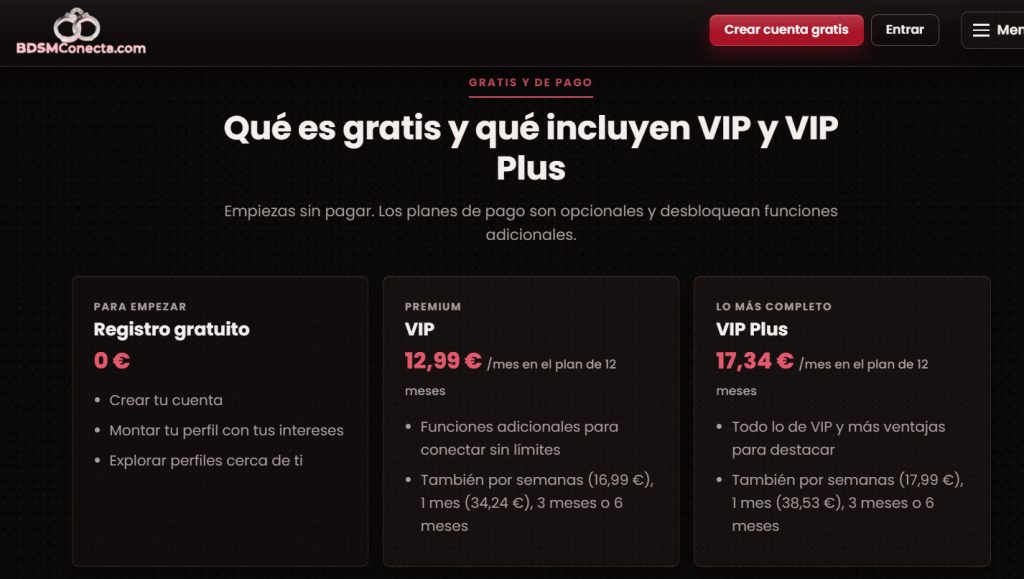 BDSMConecta precios